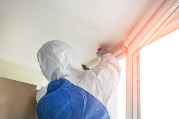 Why You Should Choose Our Mold Remediation Services in Keeseville, NY